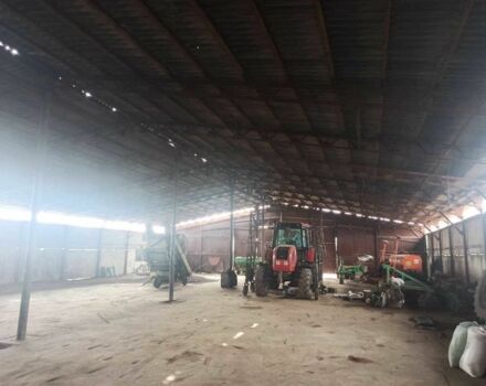 МТЗ Другая, объемом двигателя 6 л и пробегом 4 тыс. км за 22000 $, фото 1 на Automoto.ua