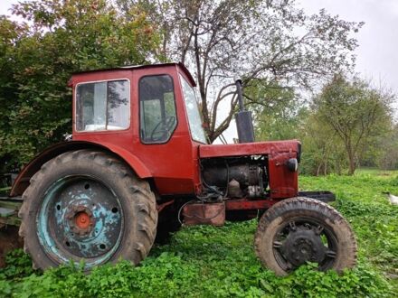 МТЗ Другая 1986 в Перемышлянах на Automoto.ua МТЗ Другая, объемом двигателя 0 л и пробегом 0 тыс. км за 2450 $, фото 1 на Automoto.ua