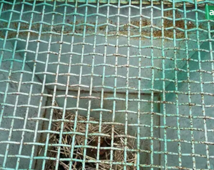 МВД 900, объемом двигателя 0 л и пробегом 0 тыс. км за 595 $, фото 6 на Automoto.ua