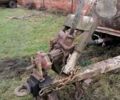 МЖТ 6, об'ємом двигуна 0 л та пробігом 1 тис. км за 1924 $, фото 1 на Automoto.ua