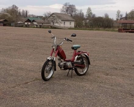 Малагути Другая, объемом двигателя 0 л и пробегом 0 тыс. км за 191 $, фото 3 на Automoto.ua