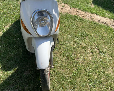 Малагути циак, объемом двигателя 0 л и пробегом 20 тыс. км за 350 $, фото 3 на Automoto.ua