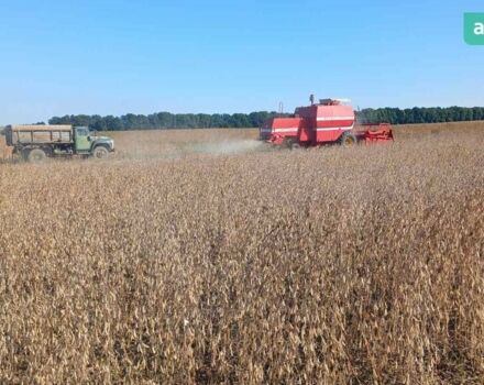 Массей Фергюсон 307, об'ємом двигуна 3.86 л та пробігом 0 тис. км за 10300 $, фото 10 на Automoto.ua