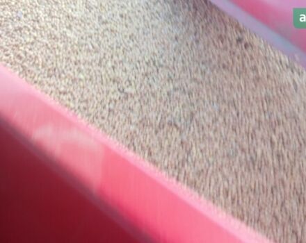 Массей Фергюсон 307, об'ємом двигуна 3.86 л та пробігом 0 тис. км за 10300 $, фото 2 на Automoto.ua