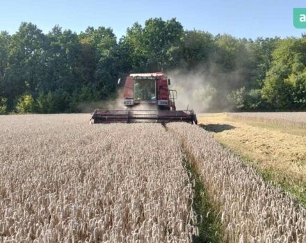 Массей Фергюсон 38, об'ємом двигуна 0 л та пробігом 0 тис. км за 14500 $, фото 6 на Automoto.ua