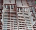 Массей Фергюсон 440, объемом двигателя 0 л и пробегом 0 тыс. км за 18500 $, фото 15 на Automoto.ua