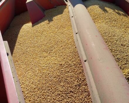 Массей Фергюсон Другая, объемом двигателя 2.2 л и пробегом 0 тыс. км за 8900 $, фото 19 на Automoto.ua