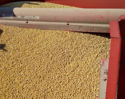 Массей Фергюсон Другая, объемом двигателя 2.2 л и пробегом 0 тыс. км за 8900 $, фото 9 на Automoto.ua