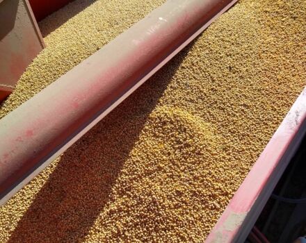 Массей Фергюсон Другая, объемом двигателя 2.2 л и пробегом 0 тыс. км за 8900 $, фото 3 на Automoto.ua