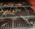 Массей Фергюсон Другая, объемом двигателя 0 л и пробегом 0 тыс. км за 18000 $, фото 6 на Automoto.ua
