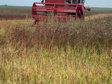 Массей Фергюсон Другая, объемом двигателя 4 л и пробегом 3 тыс. км за 14800 $, фото 1 на Automoto.ua