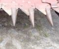 Массей Фергюсон Другая, объемом двигателя 0 л и пробегом 0 тыс. км за 17691 $, фото 23 на Automoto.ua
