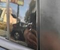 Чорний Мазда 3, об'ємом двигуна 1.6 л та пробігом 273 тис. км за 4500 $, фото 13 на Automoto.ua