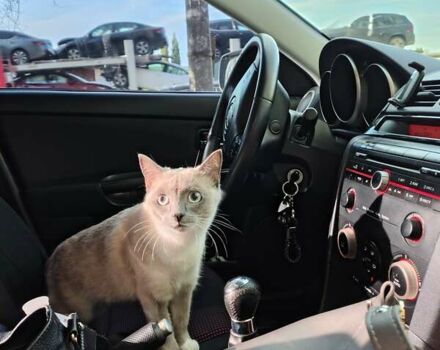 Зелений Мазда 3, об'ємом двигуна 1.6 л та пробігом 292 тис. км за 6000 $, фото 10 на Automoto.ua