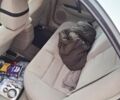 Сірий Мазда 6, об'ємом двигуна 2 л та пробігом 3 тис. км за 3700 $, фото 6 на Automoto.ua