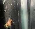 Сірий Мазда 6, об'ємом двигуна 2.49 л та пробігом 195 тис. км за 2000 $, фото 9 на Automoto.ua