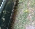 Мазда 626, об'ємом двигуна 2 л та пробігом 300 тис. км за 2450 $, фото 3 на Automoto.ua