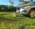 Синий Мазда СХ-5, объемом двигателя 2.5 л и пробегом 150 тыс. км за 13800 $, фото 3 на Automoto.ua