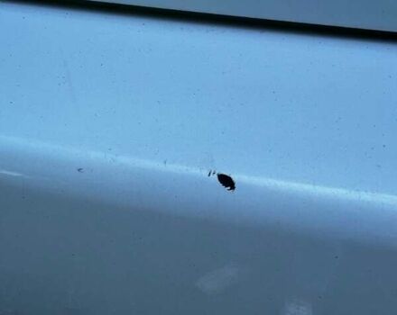 Мазда СХ-7 2011 в Киеве на Automoto.ua Мазда СХ-7, объемом двигателя 2.3 л и пробегом 84 тыс. км за 11500 $, фото 43 на Automoto.ua