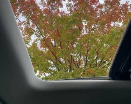 Серый Мазда СХ-9, объемом двигателя 2.5 л и пробегом 27 тыс. км за 5300 $, фото 11 на Automoto.ua