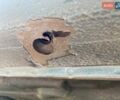 Зеленый Мазда Премаси, объемом двигателя 2 л и пробегом 146 тыс. км за 2800 $, фото 14 на Automoto.ua