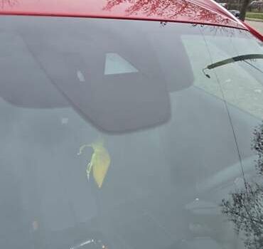 Червоний Мазда CX-50, об'ємом двигуна 2.49 л та пробігом 42 тис. км за 25500 $, фото 50 на Automoto.ua