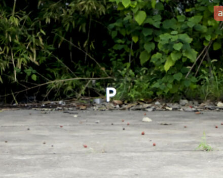 Мазда EZ-60, об'ємом двигуна 1.5 л та пробігом 0 тис. км за 33700 $, фото 22 на Automoto.ua