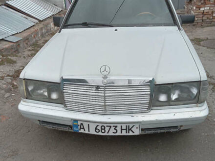 Мерседес 190 1983 у Тараще на Automoto.ua Білий Мерседес 190, об'ємом двигуна 2 л та пробігом 350 тис. км за 1900 $, фото 1 на Automoto.ua