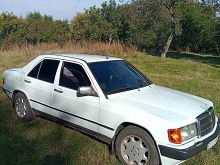 Мерседес 190 1990 в Сумах на Automoto.ua Белый Мерседес 190, объемом двигателя 2 л и пробегом 330 тыс. км за 2500 $, фото 1 на Automoto.ua