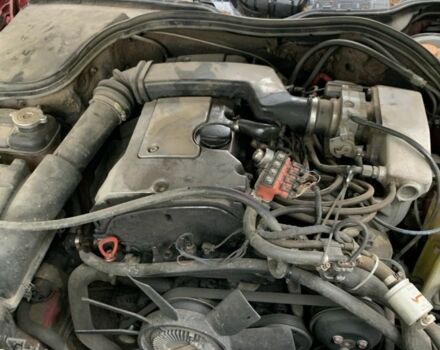 Мерседес 190 1995 в Виннице на Automoto.ua Красный Мерседес 190, объемом двигателя 1.8 л и пробегом 425 тыс. км за 1250 $, фото 4 на Automoto.ua