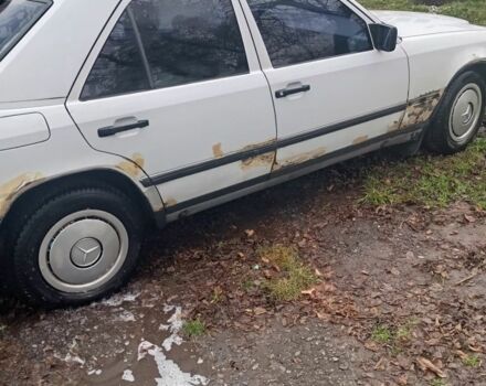 Белый Мерседес 200, объемом двигателя 2 л и пробегом 350 тыс. км за 1350 $, фото 1 на Automoto.ua