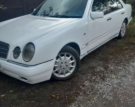 Білий Мерседес 200, об'ємом двигуна 2 л та пробігом 413 тис. км за 3950 $, фото 5 на Automoto.ua