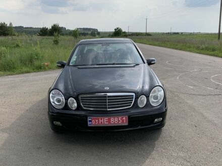 Мерседес 200 2004 в Луцке на Automoto.ua Черный Мерседес 200, объемом двигателя 1.8 л и пробегом 350 тыс. км за 7700 $, фото 1 на Automoto.ua