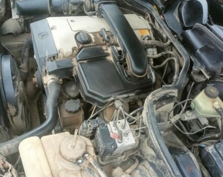 Мерседес 200 1998 в Черновцах на Automoto.ua Фиолетовый Мерседес 200, объемом двигателя 2 л и пробегом 301 тыс. км за 1850 $, фото 1 на Automoto.ua