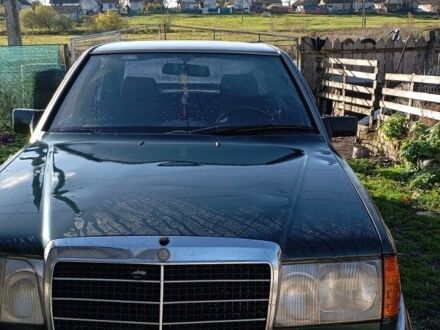 Мерседес 200 1997 в Львове на Automoto.ua Зеленый Мерседес 200, объемом двигателя 2 л и пробегом 2 тыс. км за 1310 $, фото 1 на Automoto.ua