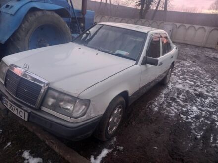 Мерседес 220 1987 в Ярмолинцы на Automoto.ua Белый Мерседес 220, объемом двигателя 2.6 л и пробегом 350 тыс. км за 1500 $, фото 1 на Automoto.ua
