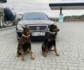Чорний Мерседес 220, об'ємом двигуна 5 л та пробігом 320 тис. км за 7000 $, фото 1 на Automoto.ua