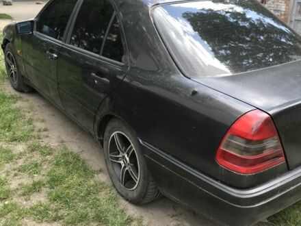 Мерседес 220 1995 в Хмельницком на Automoto.ua Черный Мерседес 220, объемом двигателя 2.2 л и пробегом 300 тыс. км за 1747 $, фото 1 на Automoto.ua