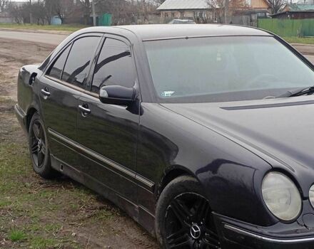 Фиолетовый Мерседес 220, объемом двигателя 2.6 л и пробегом 403 тыс. км за 3200 $, фото 2 на Automoto.ua