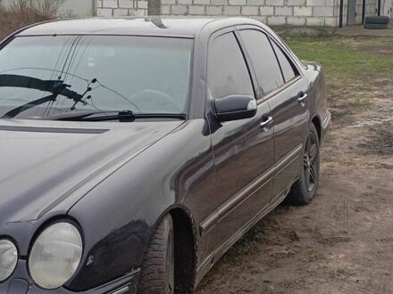 Фиолетовый Мерседес 220, объемом двигателя 2.6 л и пробегом 403 тыс. км за 3200 $, фото 1 на Automoto.ua