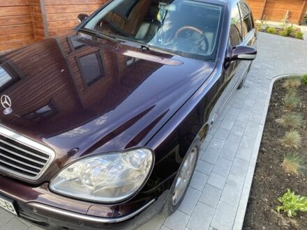 Фіолетовий Мерседес 220, об'ємом двигуна 4.9 л та пробігом 245 тис. км за 5967 $, фото 1 на Automoto.ua