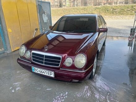 Мерседес 220 1998 в Тернополе на Automoto.ua Красный Мерседес 220, объемом двигателя 2 л и пробегом 400 тыс. км за 3700 $, фото 1 на Automoto.ua