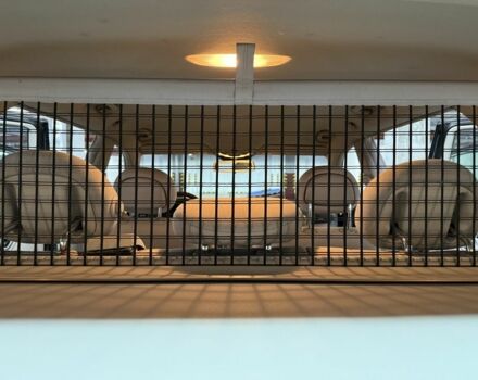 Серый Мерседес 220, объемом двигателя 2.1 л и пробегом 315 тыс. км за 6800 $, фото 6 на Automoto.ua