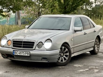 Мерседес 220 1995 у Павлограде на Automoto.ua Сірий Мерседес 220, об'ємом двигуна 2.2 л та пробігом 250 тис. км за 2499 $, фото 1 на Automoto.ua