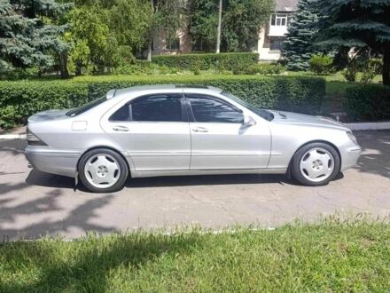 Мерседес 220 2001 у Кам'янське (Дніпродзержинськ) на Automoto.ua Сірий Мерседес 220, об'ємом двигуна 5 л та пробігом 300 тис. км за 6500 $, фото 1 на Automoto.ua