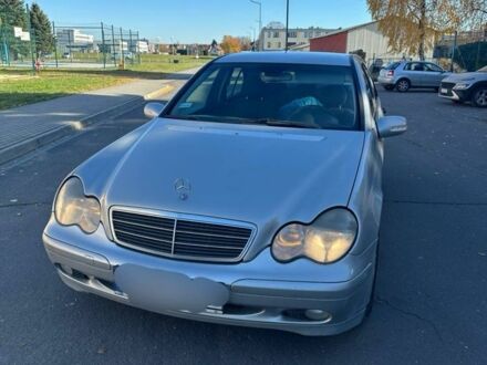 Мерседес 220 2001 у Львові на Automoto.ua Сірий Мерседес 220, об'ємом двигуна 2.2 л та пробігом 300 тис. км за 1950 $, фото 1 на Automoto.ua