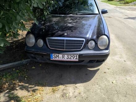 Мерседес 220 1998 у Покровском на Automoto.ua Синій Мерседес 220, об'ємом двигуна 2.3 л та пробігом 300 тис. км за 1007 $, фото 1 на Automoto.ua