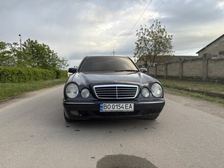 Мерседес 220 2000 у Чорткові на Automoto.ua Синій Мерседес 220, об'ємом двигуна 2.1 л та пробігом 340 тис. км за 4300 $, фото 1 на Automoto.ua