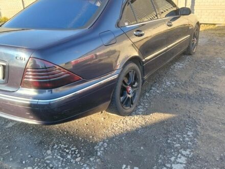 Синий Мерседес 220, объемом двигателя 4 л и пробегом 4 тыс. км за 6249 $, фото 1 на Automoto.ua