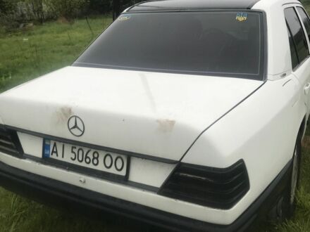 Мерседес 230 1985 у Житомирі на Automoto.ua Білий Мерседес 230, об'ємом двигуна 2.3 л та пробігом 8 тис. км за 850 $, фото 1 на Automoto.ua